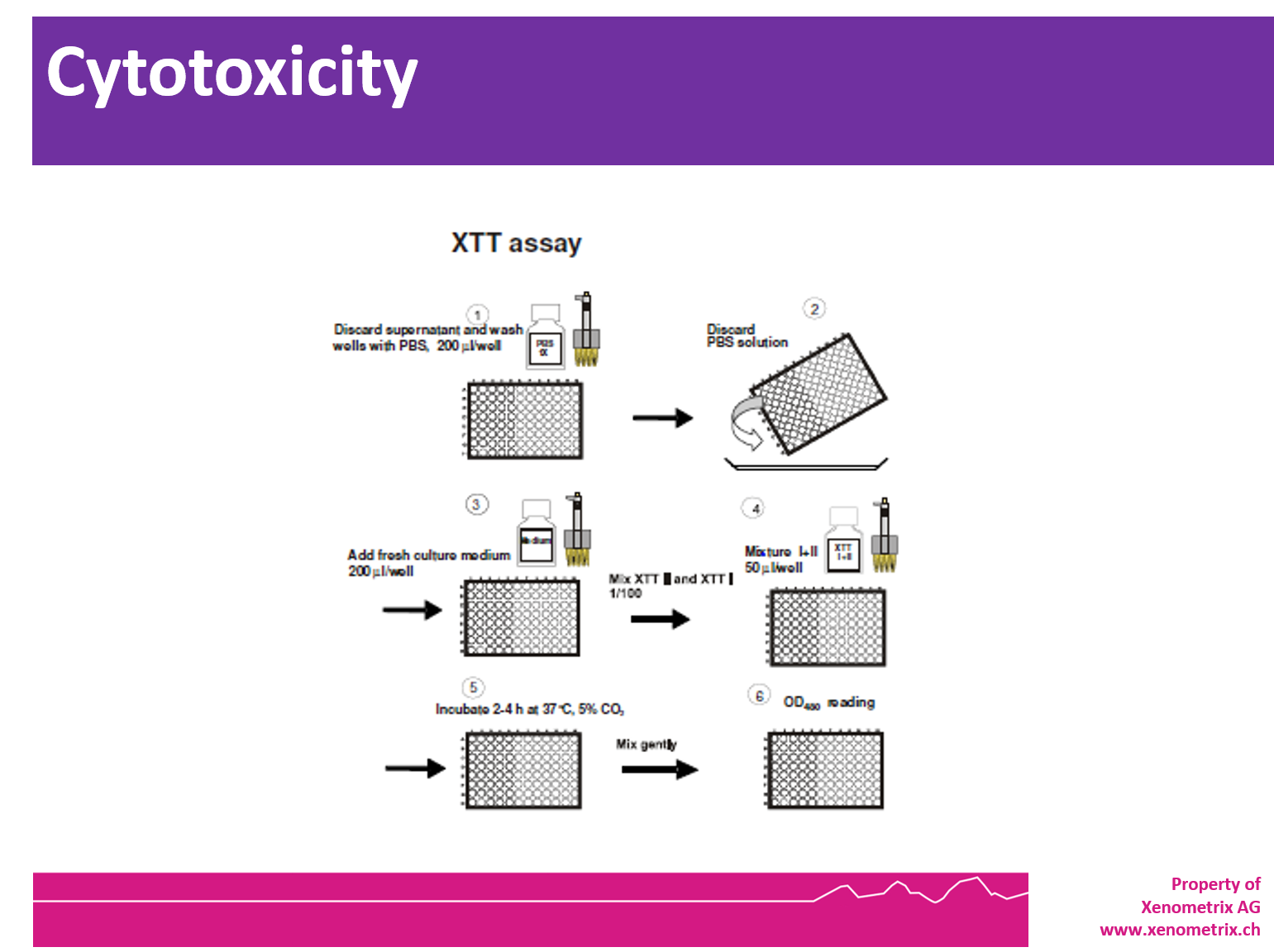 Cytotoxicity XTT Xenometrix
