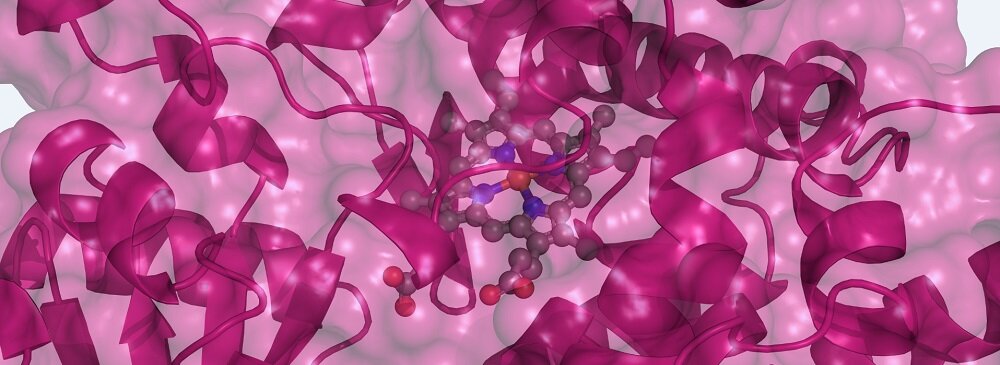 Post-Mitochondrial Supernatant S9 Fraction from PB/ß-Naphtoflavone induced rat liver