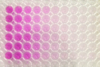 Growth Inhibition Test