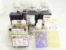 Ames MPF Penta 2 - 10 Sample Kit for Ames Test with 5...