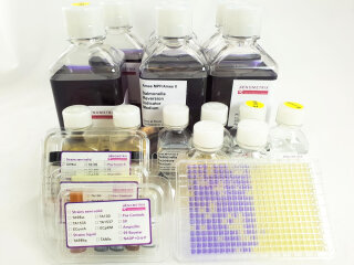 Ames MPF 98/100 - 1 Sample Kit for Ames Test with 2 Strains (incl. PB/NF induced S9 and positive controls)