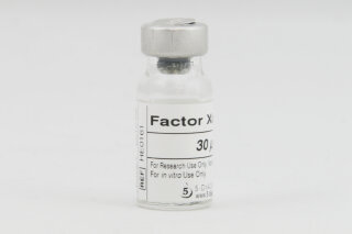 5-Enzyme - Factor Xa (Bovine) for Heparin, LMWH, UFH  Potency Test USP/EP