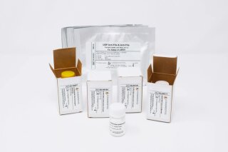 LMWH Potency Test Kit - anti-FXa Activity of LMWH Heparin - US Pharmacopoeia