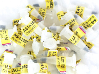 Ames Tester Strain TA1535 [pSK1002]  for umuC Genotoxicity Test