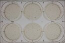 Ames Test Kit in 6 Well Agar Plates for 5 Strains -...